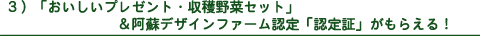 3)「おいしいプレゼント・収穫野菜セット」&阿蘇デザインファーム認定「認定証」がもらえる!